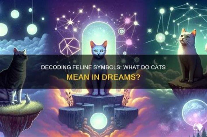 What do cats mean?