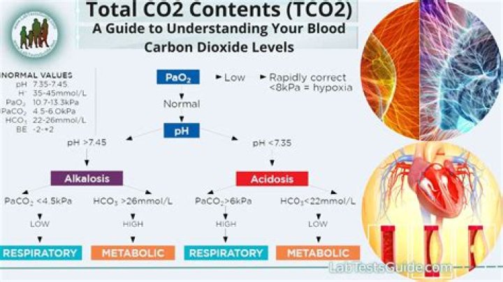 What does a co2 of 30 mean?