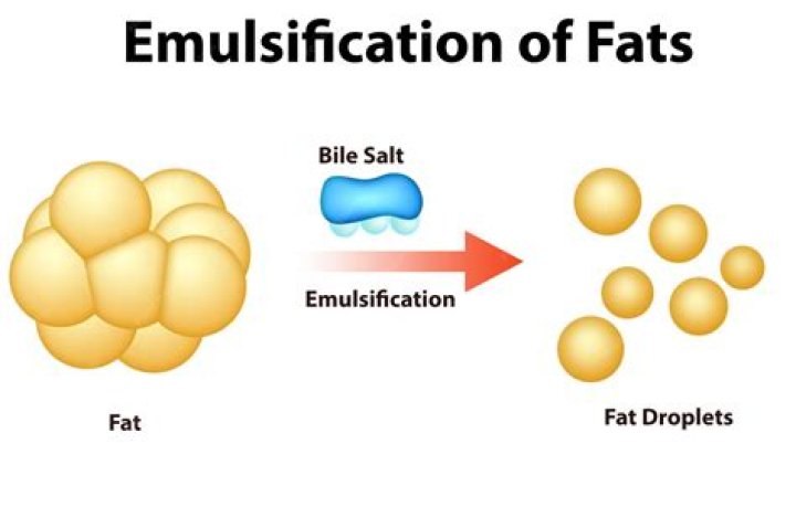 What does it mean to emulsify?