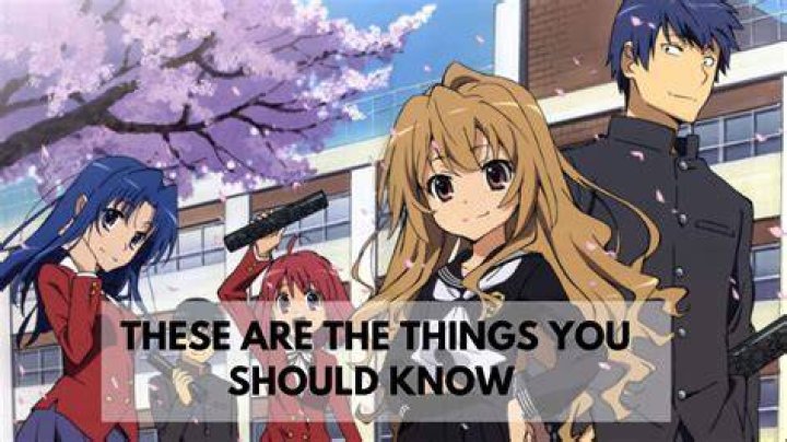 What does toradora mean?