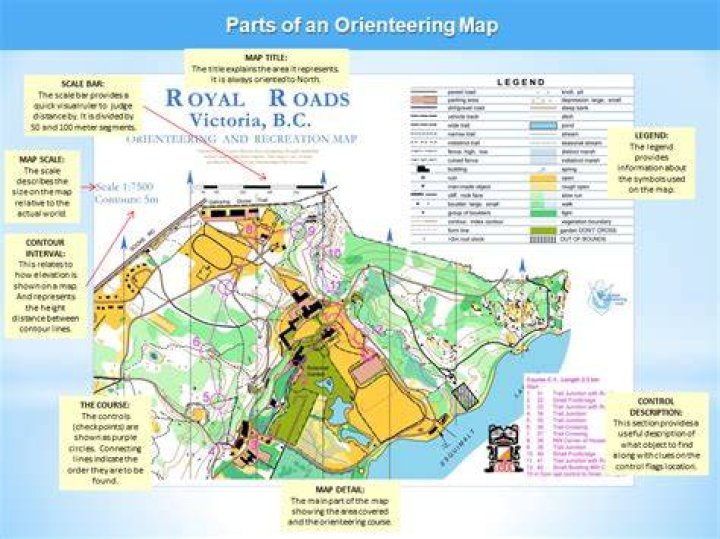 What is an orienteering map?