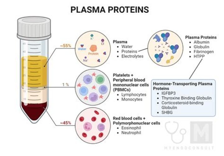 What is conversant plasma?