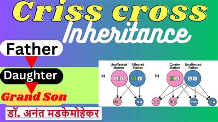 What is criss cross pattern of inheritance?