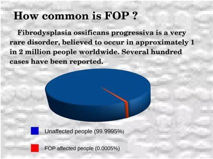 What is fop settlement?