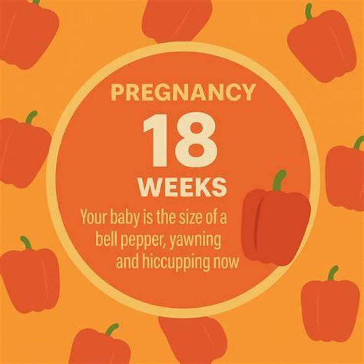 What is hiccupping in pregnancy?