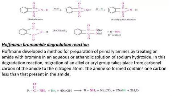 What is hoffmann bromamide degradation?