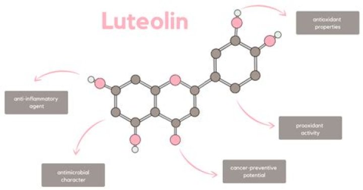 What is luteolin found in?