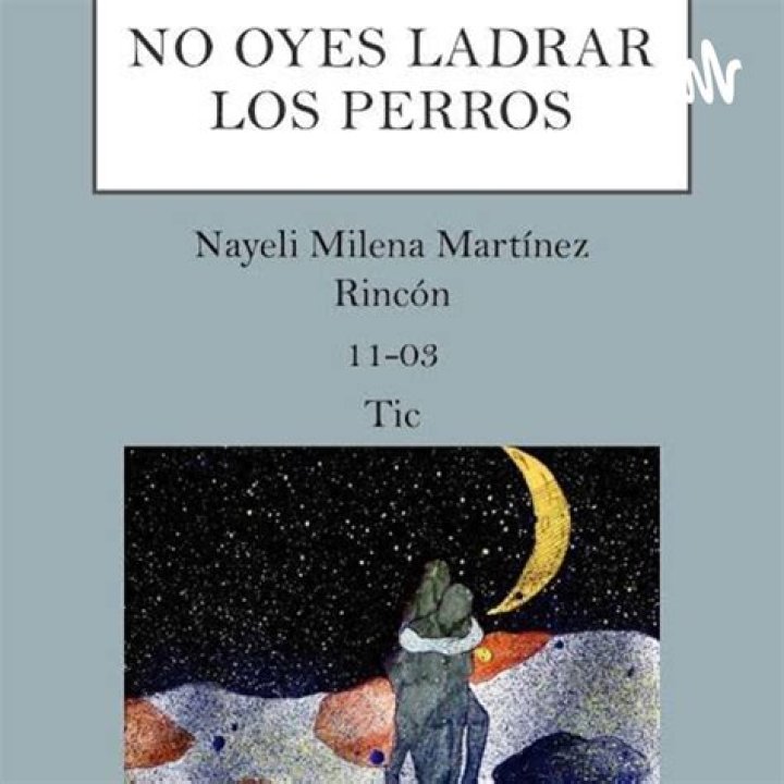 What is no oyes ladrar los perros about?