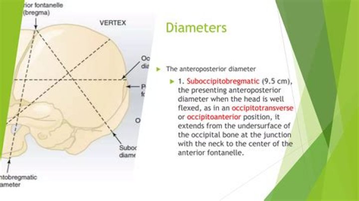 What is occipitofrontal diameter in ultrasound?