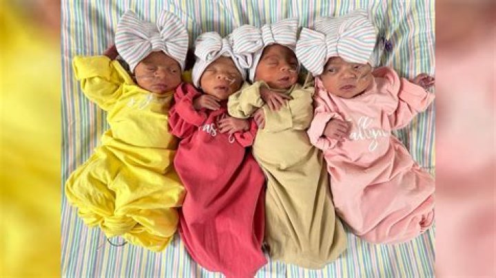 What is octuplets babies?