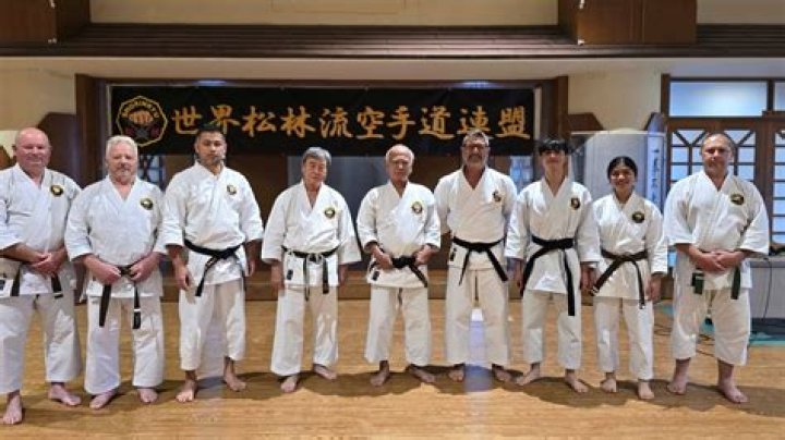 What is okinawan karate?