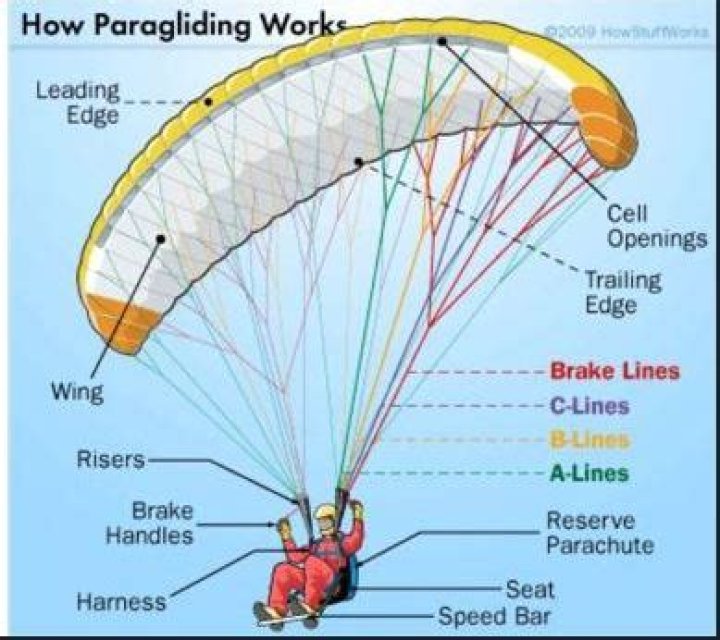 What is paraglider like?