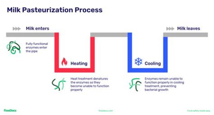 What is pasteurisation of milk and why is it beneficial?