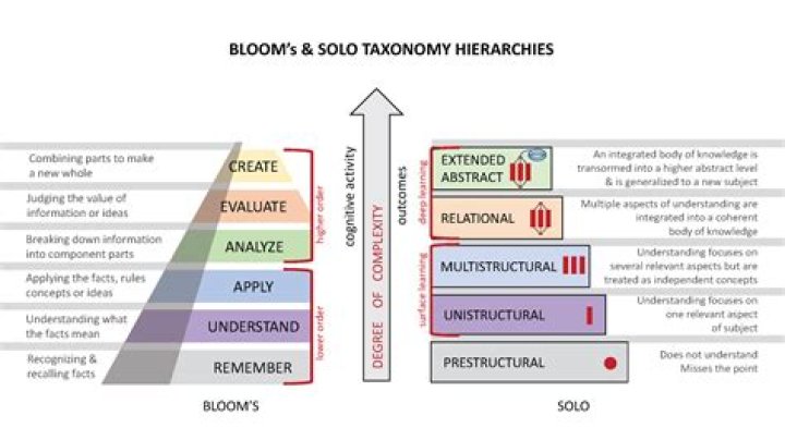 What is solo taxonomy?