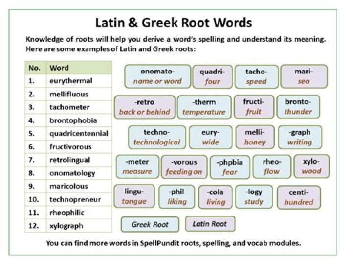 What is the latin root for neo?