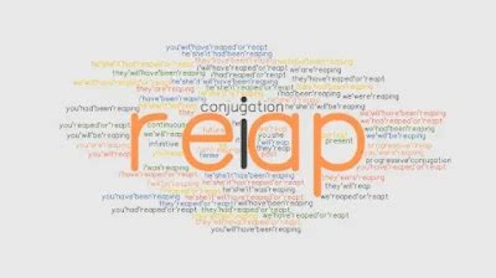 What is the opposite of reap?