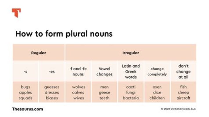 What is the plural form of laundrywoman?