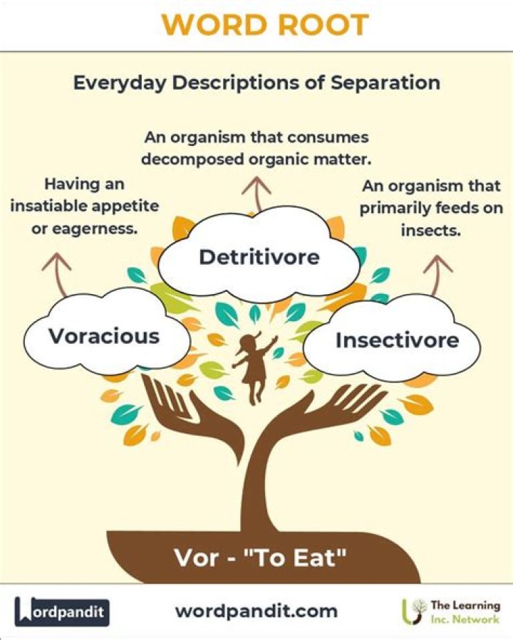 What is the root word of overjoyed?