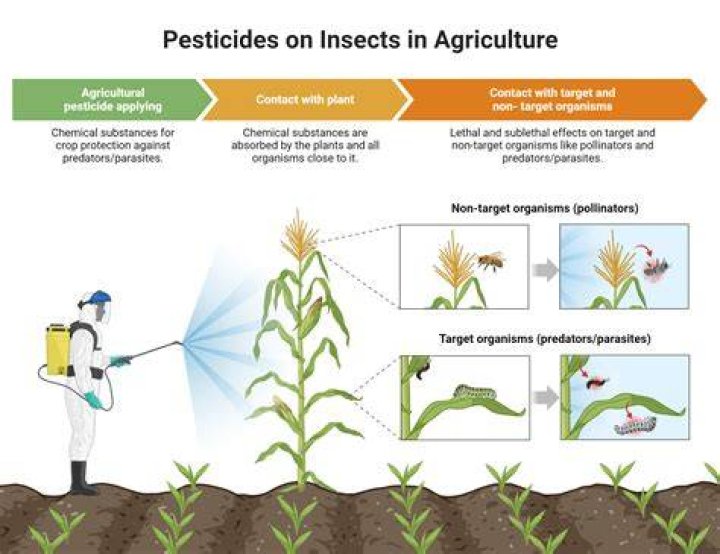 What is the use of fungicide?
