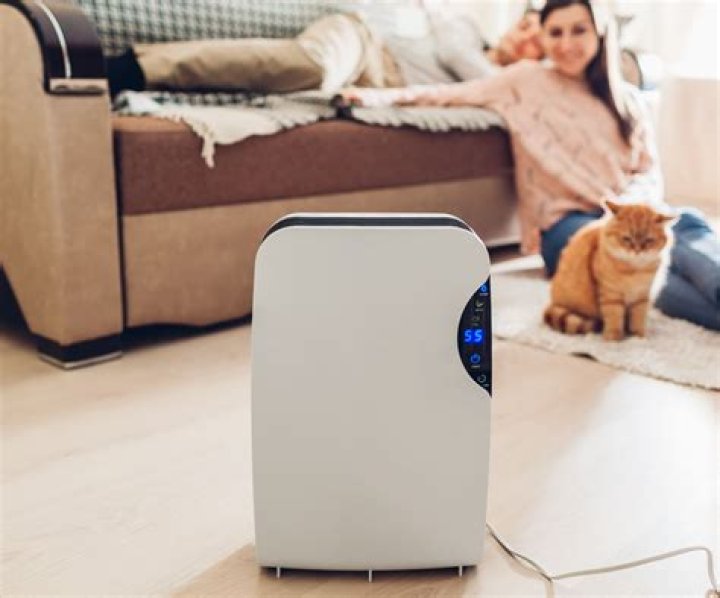 Whats a dehumidifier do?