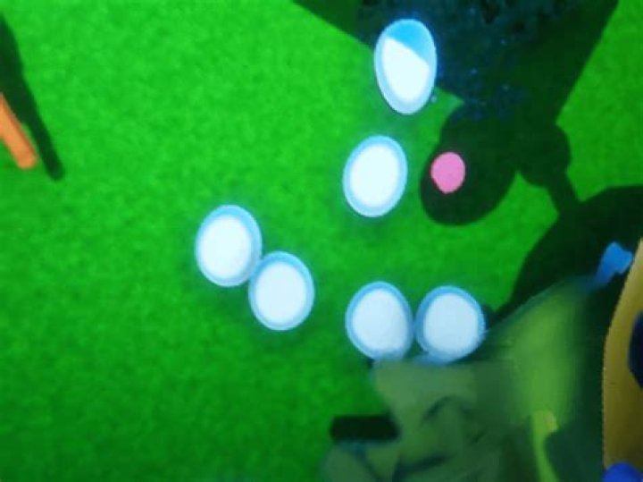 Whats a dud egg?