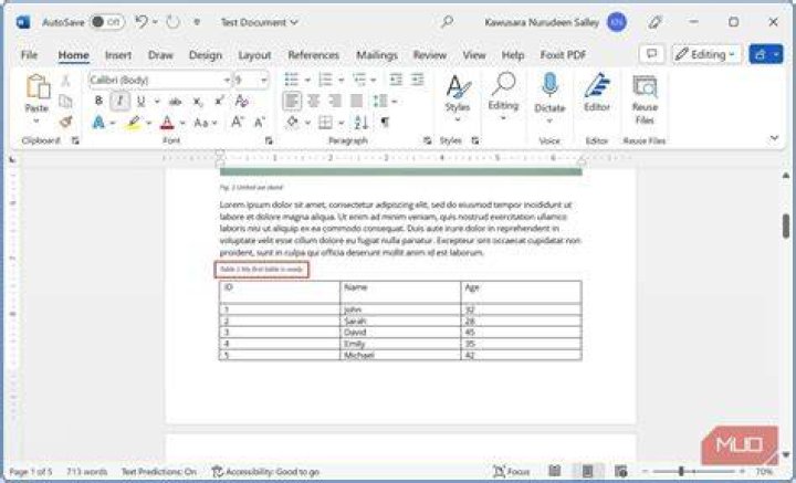 Whats a lab write up?