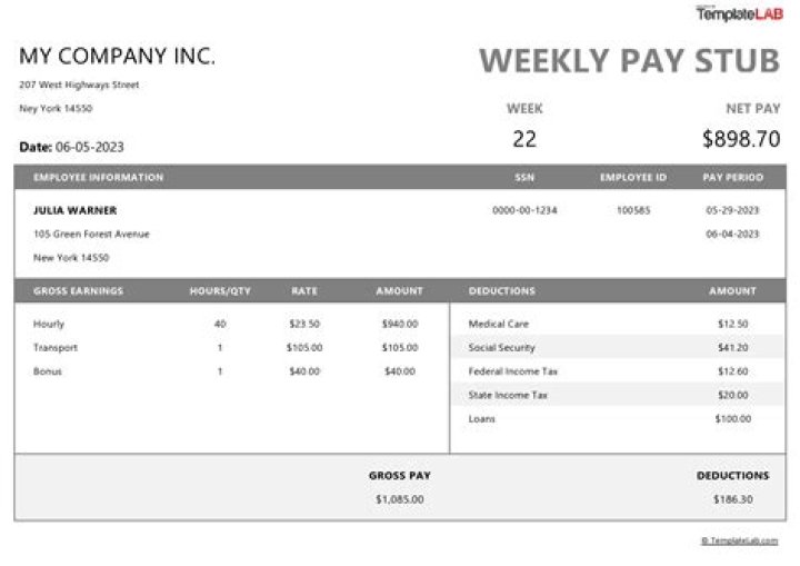 Whats a pay stub?