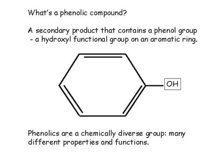 Whats a phenolic compound?