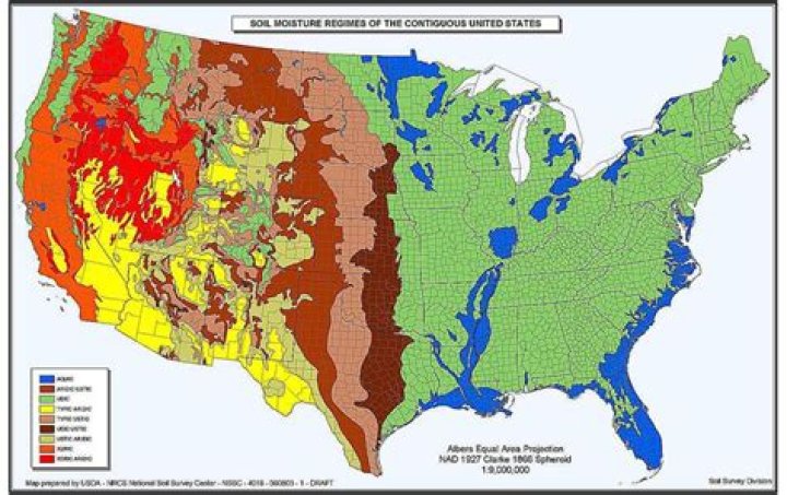 Whats a thematic map?