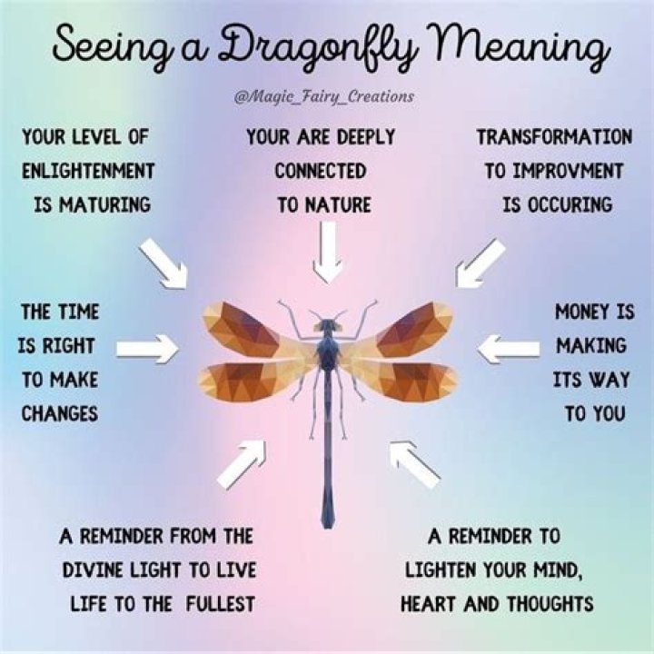 Whats it mean when you see a dragonfly?