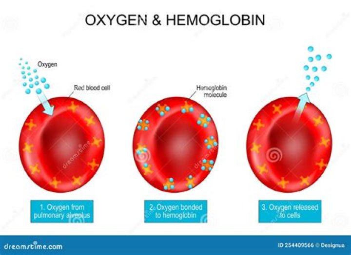 Whats the difference between oxyhemoglobin?