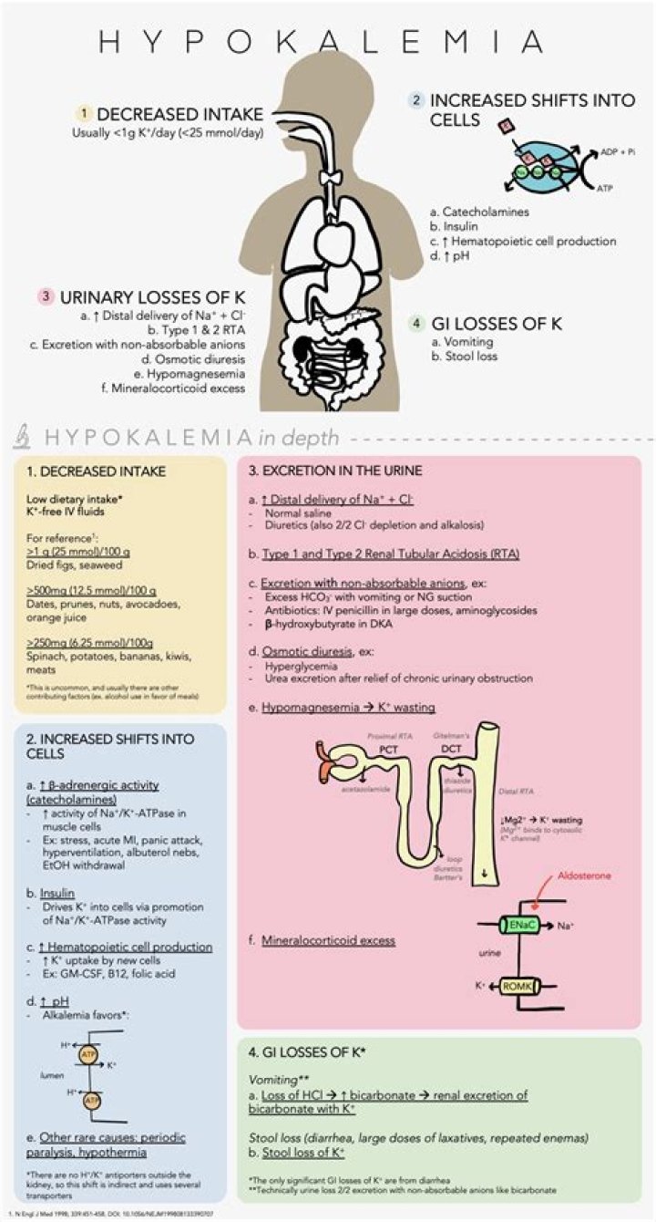 When to correct hypokalemia?