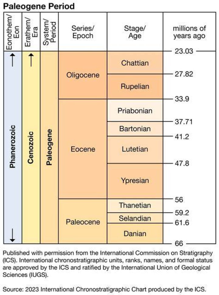 When was the oligocene period?