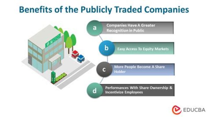 Where are publicly traded companies incorporated?