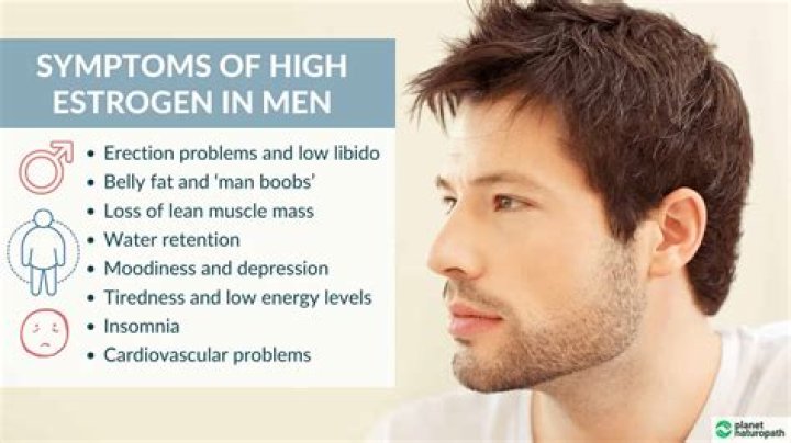 Where can estrogen be found?
