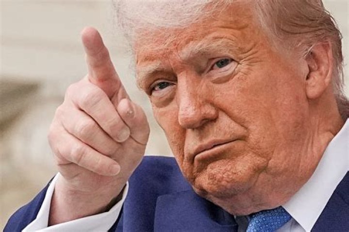 Where did the term dimwit come from?