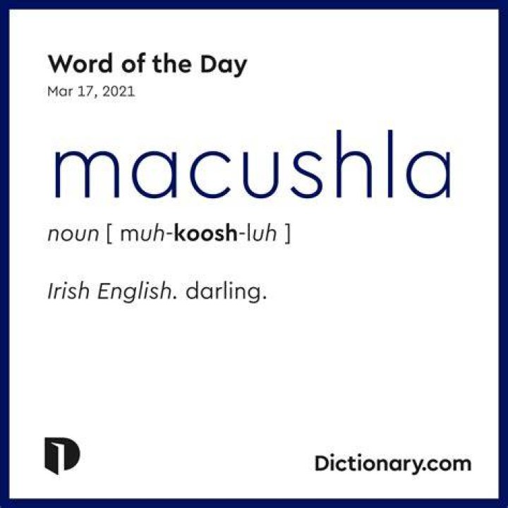 Where did the word macushla come from?
