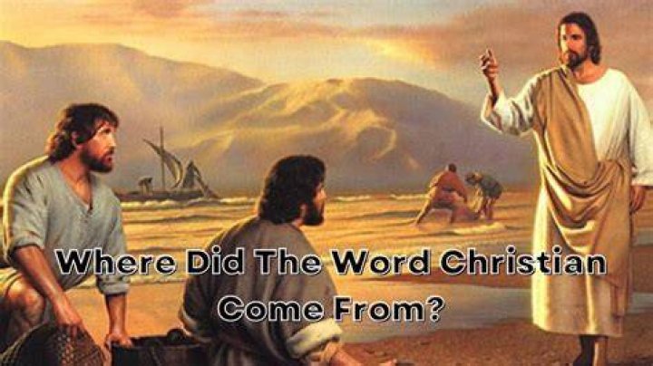 Where did the word pismire come from?