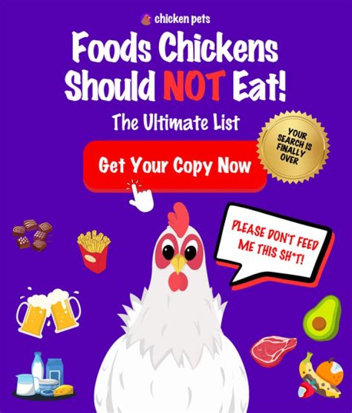 Where do chicken nibbles come from?