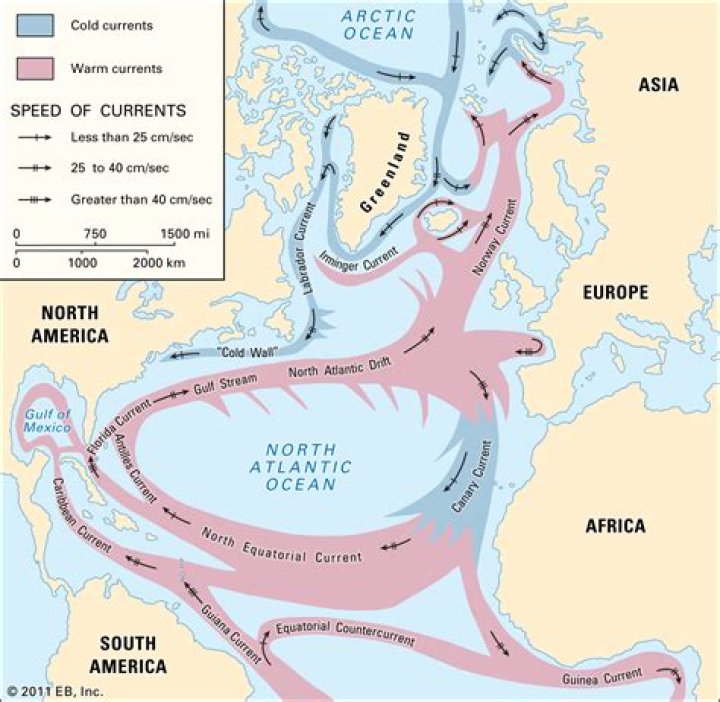 Where do cold ocean currents flow?