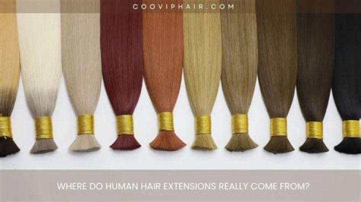 Where do hair traits come from?
