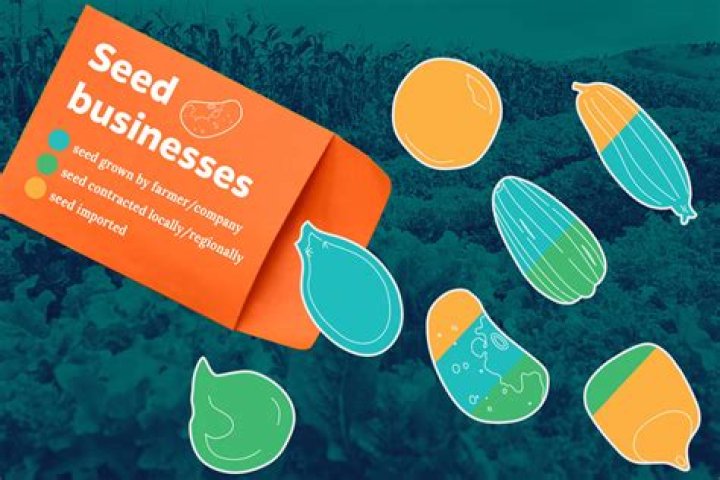 Where do vegetable seeds come from?