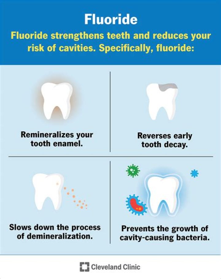 Where does fluoride come from wiki?