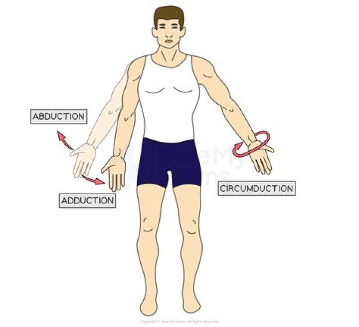 Where is circumduction found in the body?