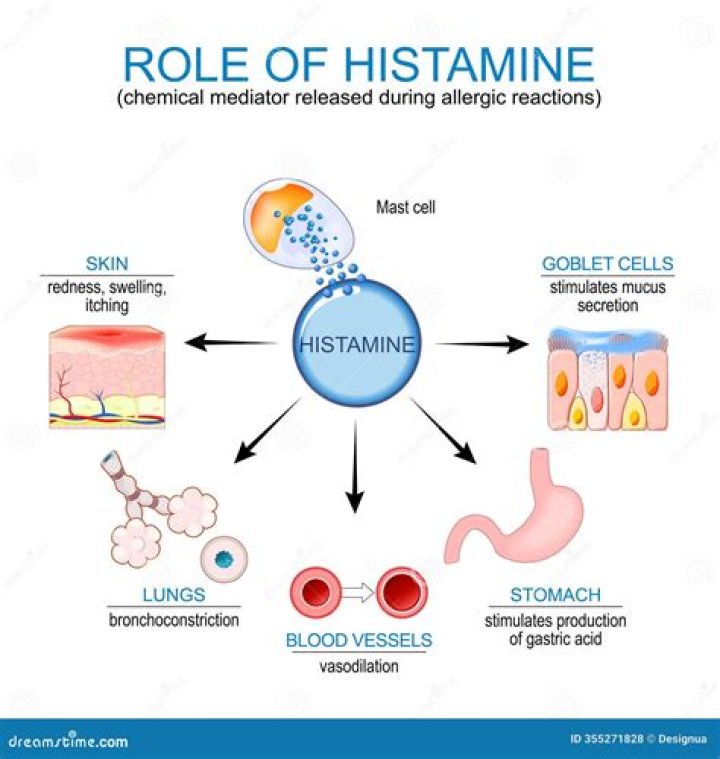 Where is histamine stored?
