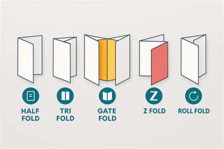 Where is the fimbriated fold?