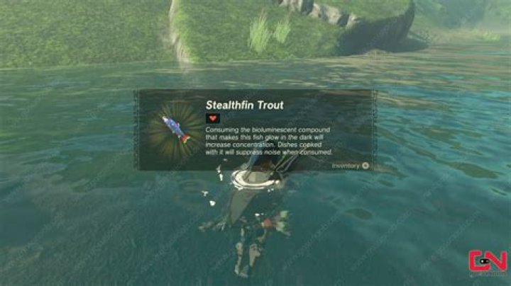 Where to find stealthfin trout?