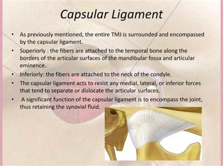Which are the capsular ligaments?
