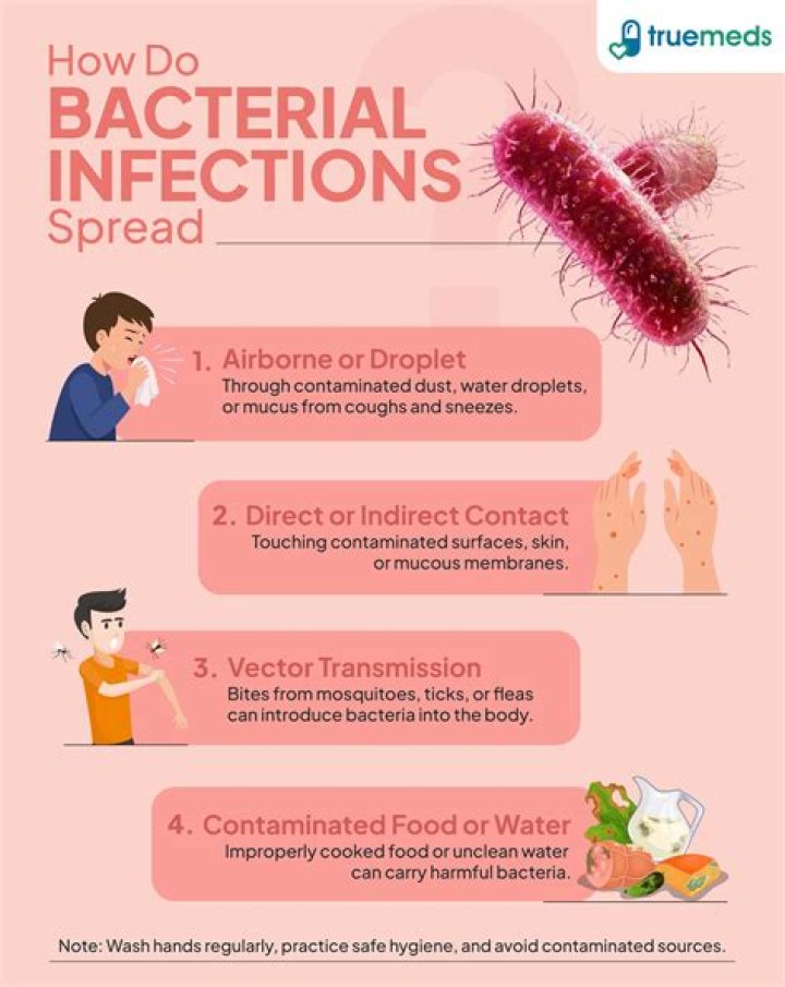 Which bacteria causes septicemia?