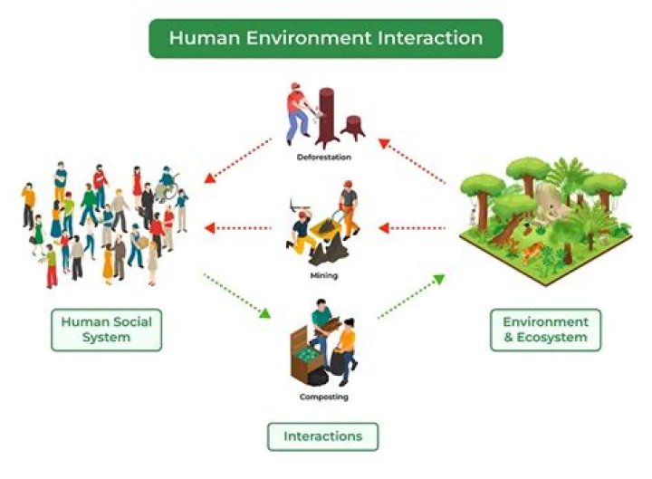 Which environment will you find a pirarucu?